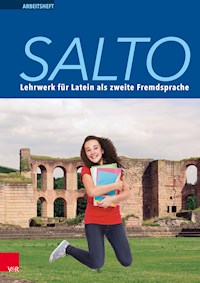 Salto Arbeitsheft 1 - Stefan Kliemt - E-Book