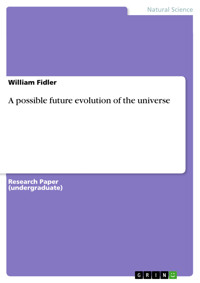 A possible future evolution of the universe - William Fidler - E-Book
