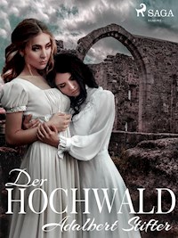 Der Hochwald - Adalbert Stifter - E-Book