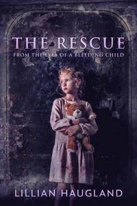 The Rescue - Lillian Haugland - E-Book
