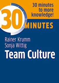 Team Culture - Rainer Krumm - E-Book
