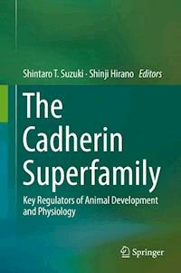 The Cadherin Superfamily -  - E-Book