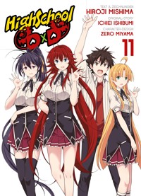 HighSchool DxD - Hiroji Mishima - E-Book