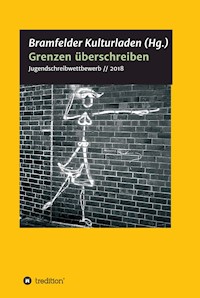 Grenzen überschreiben - Konstantin Ulmer - E-Book