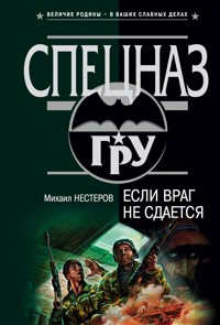 Если враг не сдается - Михаил Нестеров - E-Book