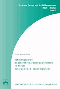 Schulprogramme als innovative Steuerungsinstrumente im System des allgemeinen Verwaltungsrechts - Julian Asmus Nebel - E-Book