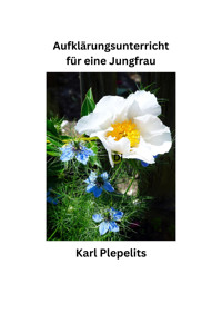 Aufklärungsunterricht für eine Jungfrau - Karl Plepelits - E-Book