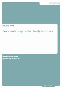 Process of change within family structures - Bruno Rihs - E-Book