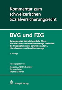 BVG und FZG -  - E-Book