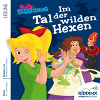 Im Tal der wilden Hexen - Bibi Blocksberg - Hörbuch (Ungekürzt) - Matthias von Bornstädt - Hörbuch