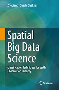 Spatial Big Data Science - Zhe Jiang - E-Book