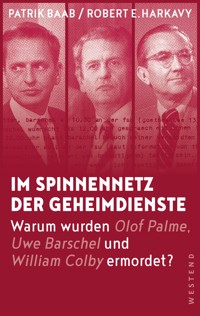 Im Spinnennetz der Geheimdienste - Patrik Baab - E-Book