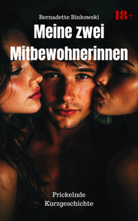 Meine zwei Mitbewohnerinnen - Bernadette Binkowski - E-Book