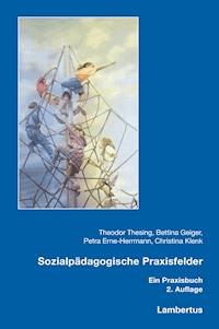 Sozialpädagogische Praxisfelder - Theodor Thesing - E-Book