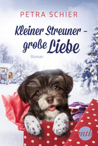 Kleiner Streuner - große Liebe - Petra Schier - E-Book