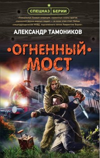 Огненный мост - Тамоников Александр - E-Book