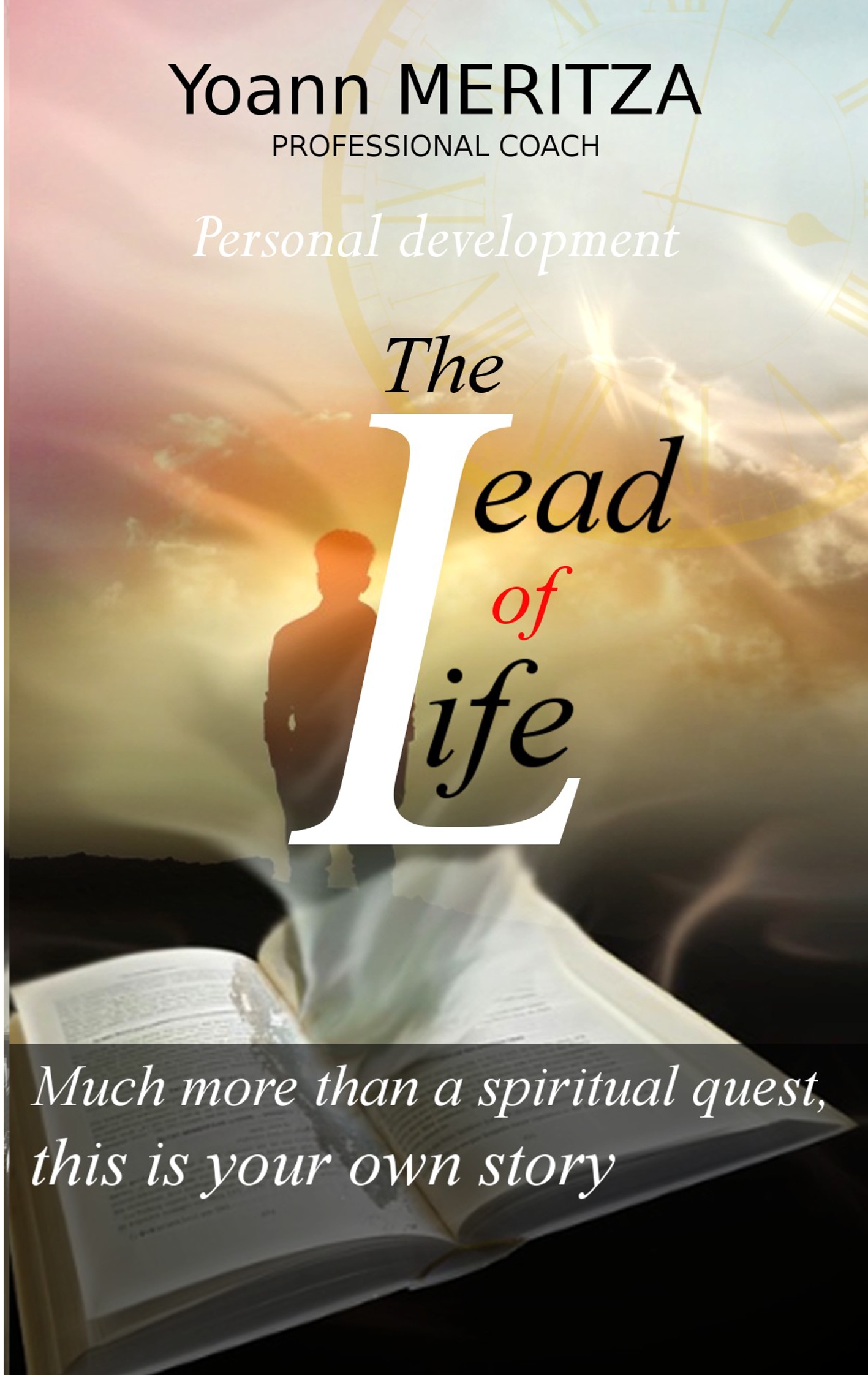 The lead of life - Yoann Meritza - E-Book