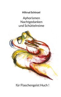 Aphorismen, Nachtgedanken und Schüttelreime für Flaschengeist Huch! - Hiltrud Schinzel - E-Book