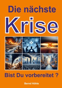 Die nächste Krise - Bernd Höhle-Kleinertz - E-Book