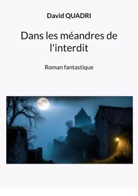 Dans les méandres de l'interdit - David Quadri - E-Book