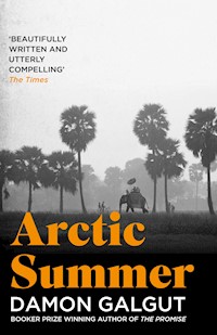 Arctic Summer - Damon Galgut - E-Book
