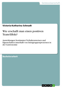 Wie erschafft man einen positiven Team-Effekt? - Victoria-Katharina Schnadt - E-Book
