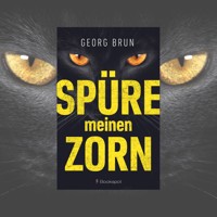Spüre meinen Zorn - Georg Brun - Hörbuch