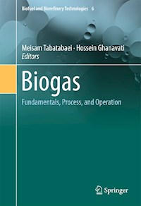 Biogas -  - E-Book