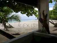 Alexis - Ein Mensch - E-Book