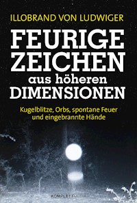 Feurige Zeichen aus höheren Dimensionen - Illobrand von Ludwiger - E-Book