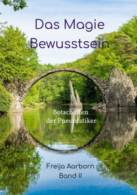 Das Magie Bewusstsein - Freija Aarborn - E-Book