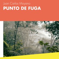 Punto de fuga - Juan Carlos Moyano - Hörbuch