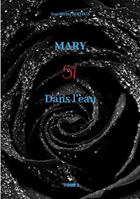 Mary, Tome 2 - Jean-Michel Boiteux - E-Book