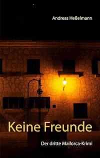 Keine Freunde - Andreas Heßelmann - E-Book