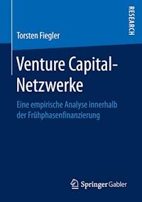 Venture Capital-Netzwerke - Torsten Fiegler - E-Book