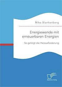 Energiewende mit erneuerbaren Energien: So gelingt die Herausforderung - Mike Blankenberg - E-Book