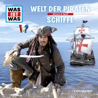 09: Welt der Piraten / Schiffe - Matthias Falk - Hörbuch