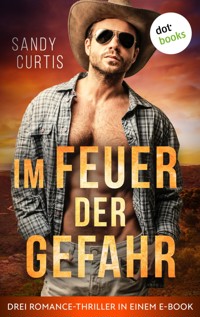 Im Feuer der Gefahr - Sandy Curtis - E-Book
