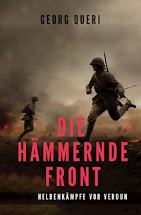 Die hämmernde Front - Georg Queri - E-Book