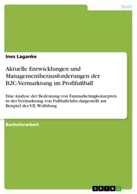 Aktuelle Entwicklungen und Managementherausforderungen der B2C-Vermarktung im Profifußball - Ines Laganke - E-Book