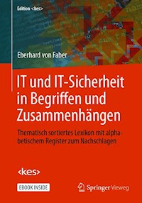 IT und IT-Sicherheit in Begriffen und Zusammenhängen - Eberhard von Faber - E-Book
