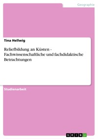 Reliefbildung an Küsten - Fachwissenschaftliche und fachdidaktische Betrachtungen - Tina Hellwig - E-Book
