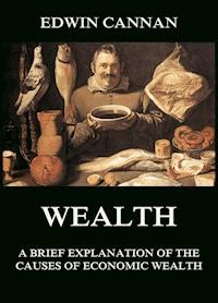 Wealth: A Brief Explanation of the Causes of Economic Wealth - Edwin Cannan - E-Book