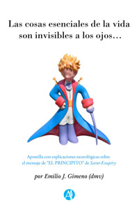 Las cosas esenciales de la vida son invisibles a los ojos… - Emilio J. Gimeno - E-Book