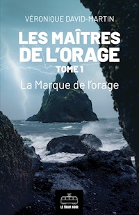 Les Maîtres de l'orage - Tome 1 - Véronique David-Martin - E-Book