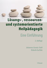 Lösungs-, ressourcen- und systemorientierte Heilpädagogik - Johannes Gruntz-Stoll - E-Book