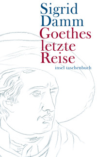 Goethes letzte Reise - Sigrid Damm - E-Book