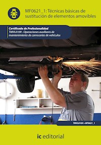 Técnicas básicas de sustitución de elementos amovibles. TMVL0109 - Fernando Jiménez Raya - E-Book