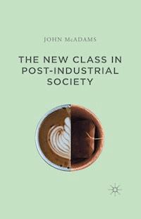 The New Class in Post-Industrial Society - John McAdams - E-Book