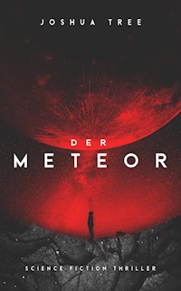 Der Meteor - Joshua Tree - E-Book